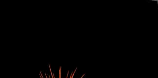 Les festes dels barris segueixen aquest cap de setmana