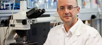 El doctor Pere-Joan Cardona serà el pregoner de les Festes de Maig