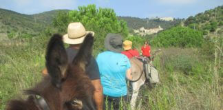 Neixen les Gastrorucades a Tiana