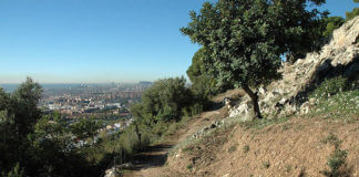 Nova visita guiada al Turó d’en Boscà