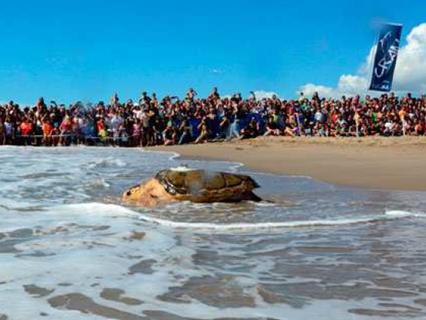 Anar a Mar 2 (AJB_MITJA)