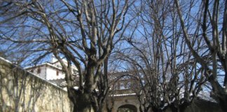 Nadal a Can Miravitges