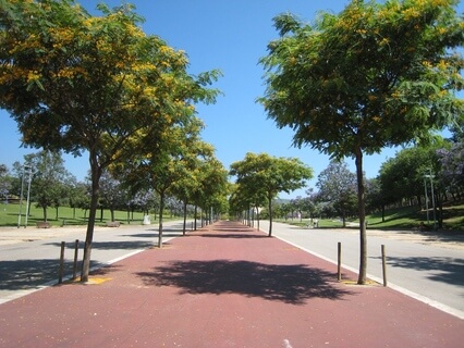 Parc Montigalà (AJB_MITJA)