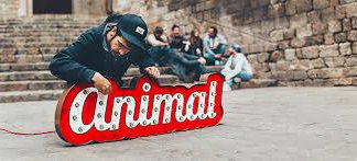 Animal actua aquest diumenge al Teatre del Círcol