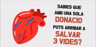 Col•lecta de sang a Montgat