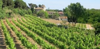 Comença la 4a edició del Va de Novel·la Històrica a Badalona