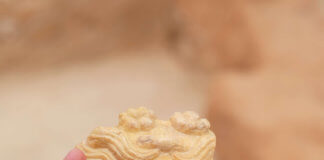 Escultura del déu Bacus (segle I) a les excavacions del lateral