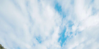 Parc de Ca l’Arnús