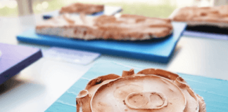 Els infants ingressats a Can Ruti reflexionen sobre l’empremta dels humans al món marí