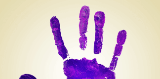 Tiana vol potenciar el Consell Municipal d’Igualtat i contra la violència masclista