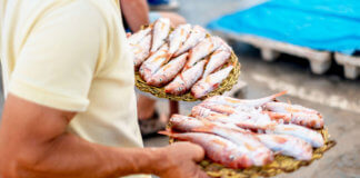 La subhasta cantada de Montgat, la única que queda a Catalunya