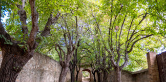Escola de Natura Angeleta Ferrer