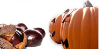 Castanyada vs Halloween a Badalona