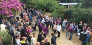 Més de 500 persones participen a la festa del Vi Novell de Can Coll