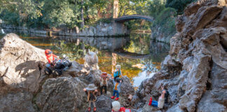 L’Escorxador torna a ser l’escenari de la Fira del Playmobil