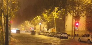 L’any 2019 ha estat una mica més càlid i més sec del normal