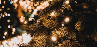 Instal•lada la Fira Nadalenca del Passatge Maignon