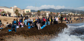 Neteja ciutadana de les platges de Badalona durant el cap de setmana del 25 i 26 de gener de 2020