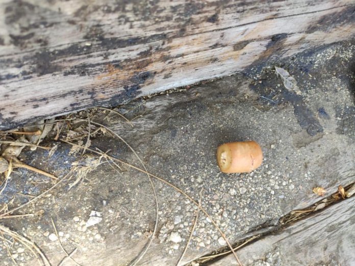 16A2E96D-8FAB-42EA-9A17-EE9B043E9039