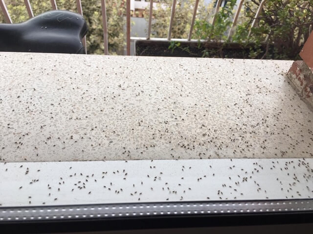 a6255934-b54a-4b59-b6bb-b8178773fa7a