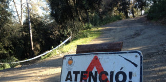 Organitzen una cacera col·lectiva de senglars a Tiana