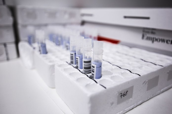 photo5774133464600261861