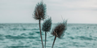 Segona vida al vidre, un projecte badaloní recicla i vol reduir el consum