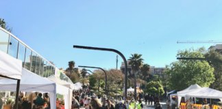 Sant Jordi a la plaça Pompeu Fabra