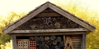 Montgat estrena un hotel d’insectes