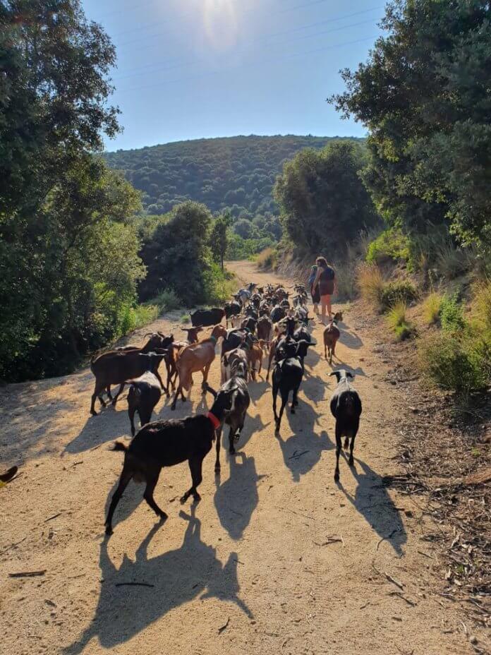 IMG-20200624-WA0013-768x1024