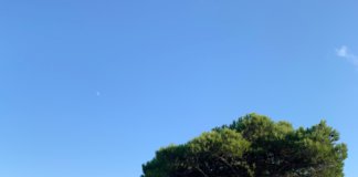 Miradors de Badalona, la ciutat amb uns altres ulls