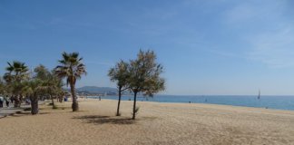 Territori Cultura: Propostes editorials infantils per aquest estiu