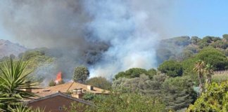 Ensurt a Tiana amb dos focus d’incendi que van estar controlats al cap de poc