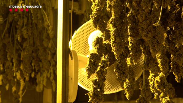 f582b291-d273-4afa-b28d-853dcc8131db