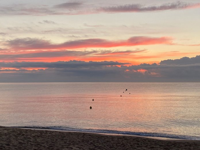 55a9484e-36c6-4008-9762-c532cd260ef9