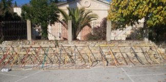 Talaran la palmera de la “Casa de la Palmera”