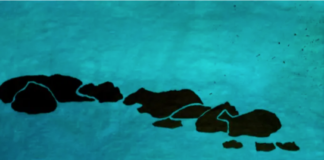 Arriba l’obra de Daniel Aixelà a l’Espai Cultural amb ‘Màquia, Esculls i Erm’