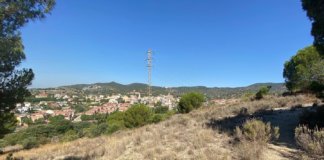 L’Ajuntament de Tiana engega el pla de recuperació de la Vinya