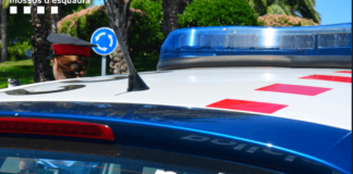 Desmantellen una organització i detenen set persones per tràfic de drogues en un operatiu