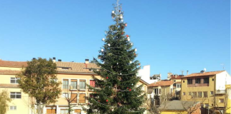 Badalona tindrà un arbre natural a la plaça de la Vila després de 30 anys