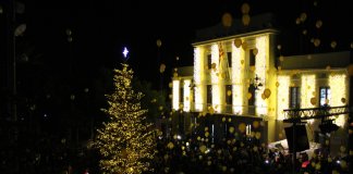 Tiana encendrà aquest Nadal dos arbres naturals