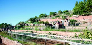 Montgat aprova la canalització de la mina de Can Casanovas