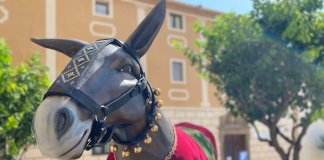 Torna la rifa del Porc de Sant Antoni a Badalona