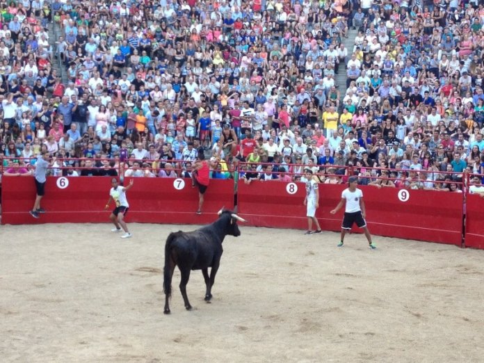 Foto-20-6-15-20-20-09-696x522