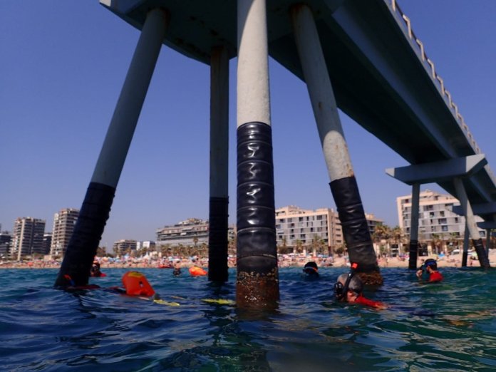 image_123650291 (34)