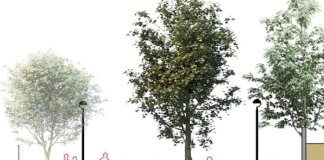 Pas endavant per pacificar el Centre de Tiana