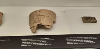 Peces del Museu de Badalona al Vinseum