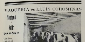 Fa 40 anys encara quedaven vaques al Centre de Badalona