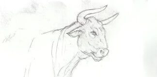 Verkami per al Bou de Mar, el nou entremès de Badalona