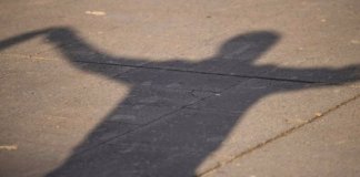 Badalona celebra el 81è Aplec de la Sardana aquest dissabte